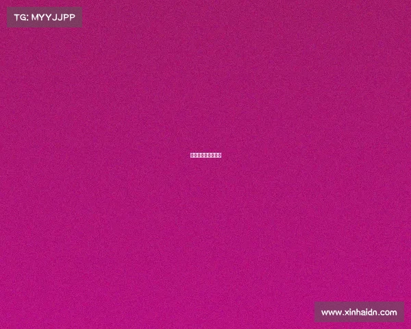 男篮今年有什么比赛